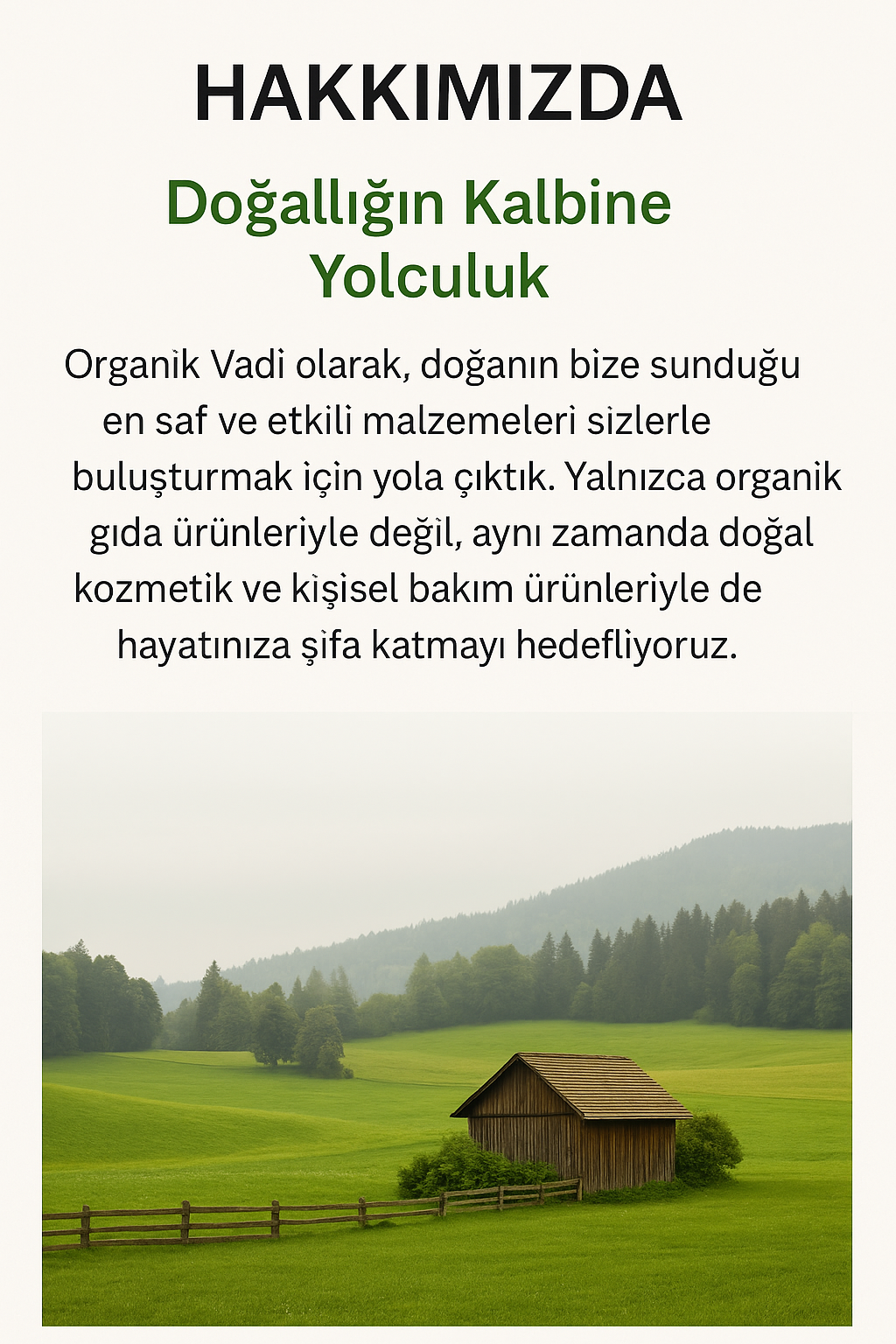 Hakkımızda